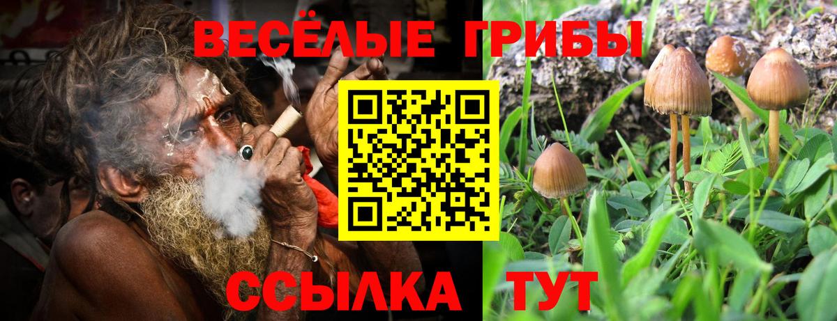 Галлюциногенные грибы прущие грибы  Вход с VPN  Сургут 