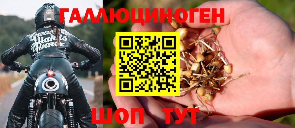 Галлюциногенные грибы GOLDEN TEACHER Сургут